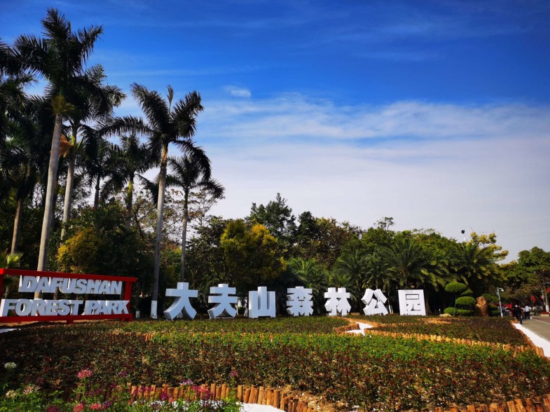 大夫山森林公园
