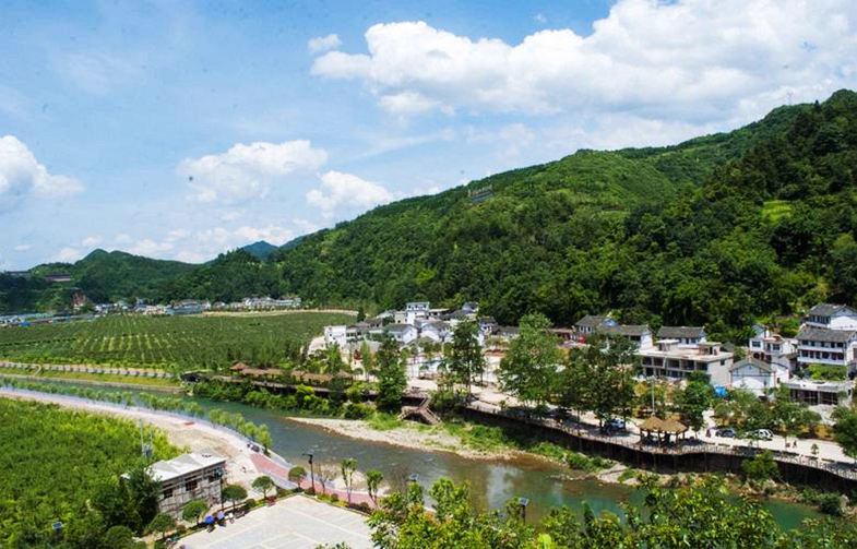 清溪镇维康生态园
