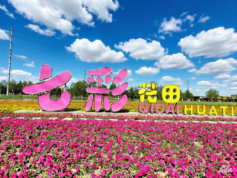 荷花产业园七彩花田